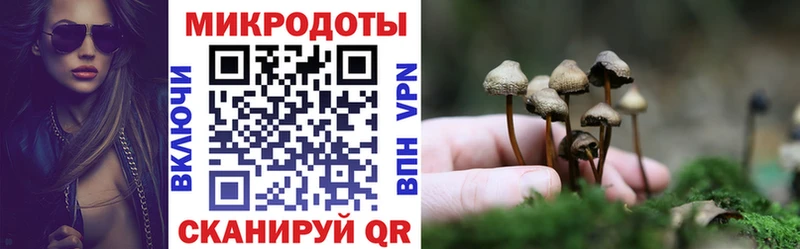 Купить  Углегорск  Псилоцибиновые грибы мицелий 